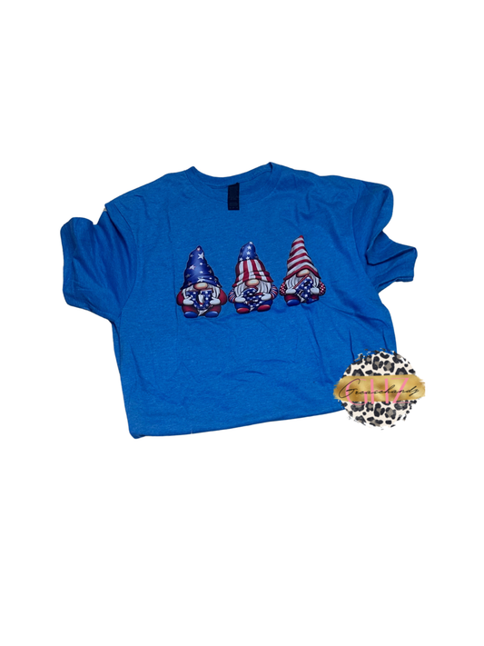 #163 4th of July Gnomes (M)